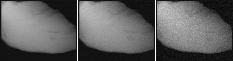 X-Ray Image Generation as a Method of Performance Prediction for Real-Time Inspection: a Case Study